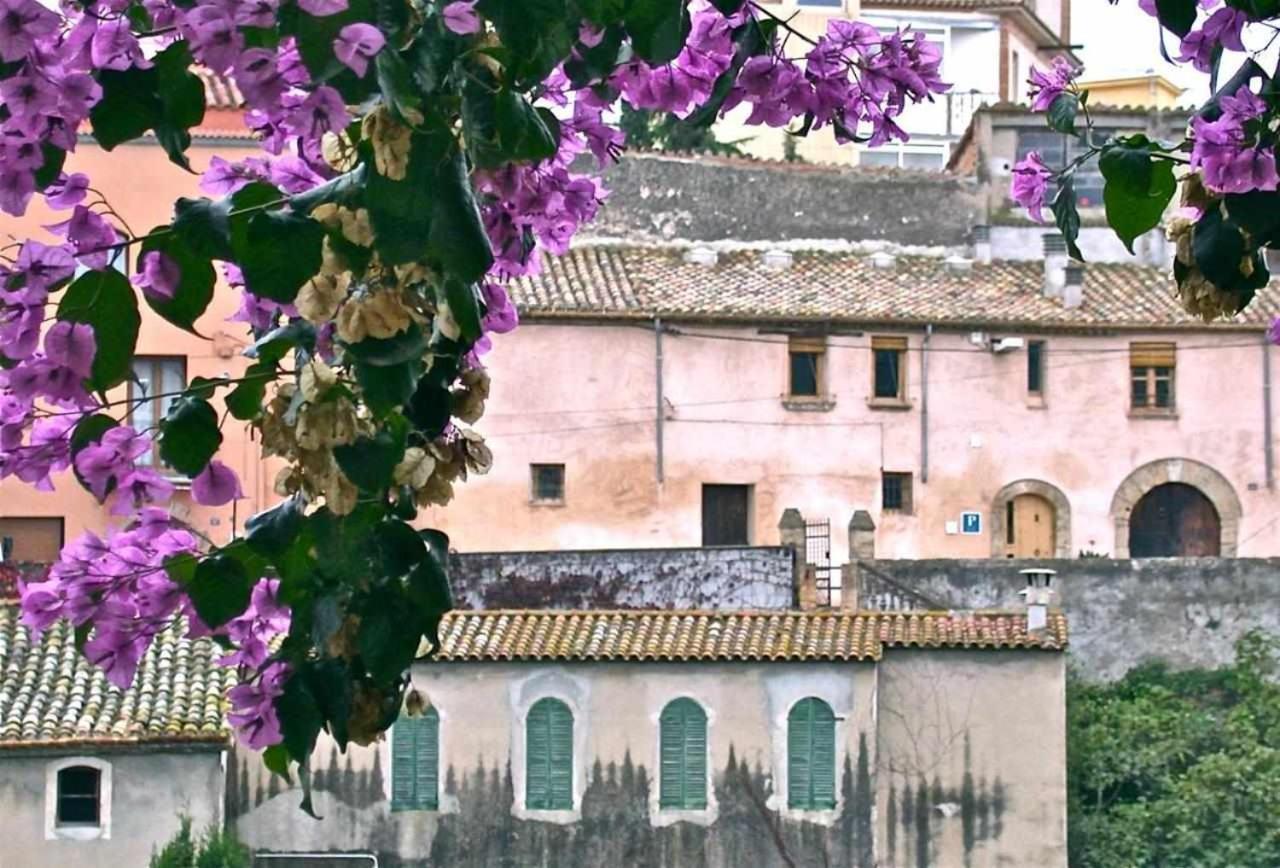 Hotel Rural Hd Riudebitlles Art I Allotjament Sant Pere de Riudebitlles エクステリア 写真
